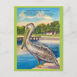 Retro-Postkarte von Florida  Postkarte