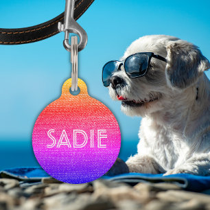 Retro Rainbow Hund oder Katze Name und Information Haustiermarke