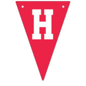 Retro Rainbow und Wolken glücklich zum Geburtstag Wimpelkette (Zweite Fahne)