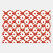 Retro Red Pomegranate Fruchtmuster Thema Geschenkpapier Set (Vorderseite)