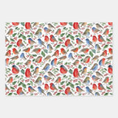 Retro Red White Robin Christmas Frucht Wasserfarbe Geschenkpapier Set (Vorderseite)