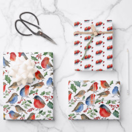 Retro Red White Robin Christmas Frucht Wasserfarbe Geschenkpapier Set