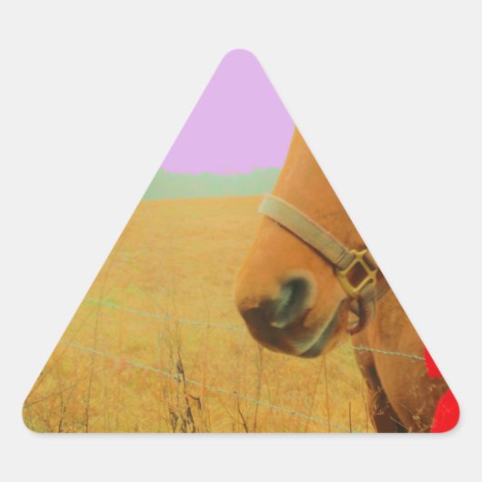 Retro Rosa Himmelskaffe Dreieckiger Aufkleber (Vorderseite)