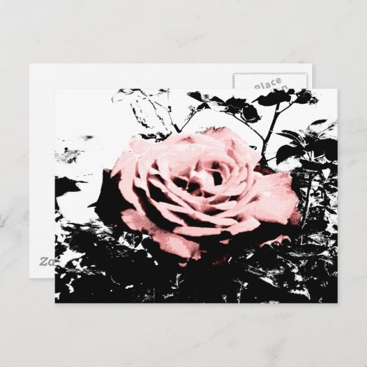 Retro-Rose Postkarte (Vorne/Hinten)