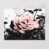 Retro-Rose Postkarte (Vorderseite)