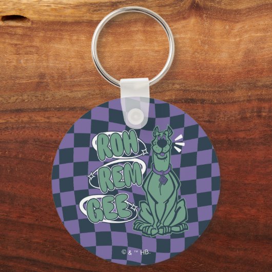 Retro Scooby "OMG" Schlüsselanhänger (Vorderseite)