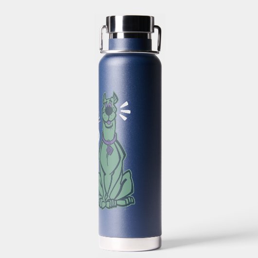 Retro Scooby "OMG" Trinkflasche (Rückseite)