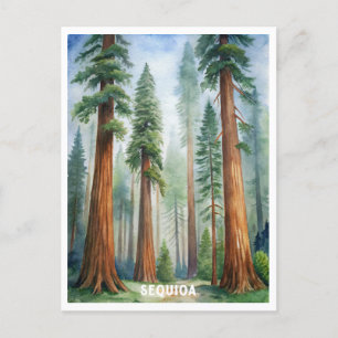Retro-Sequoia-Nationalpark Postkarte