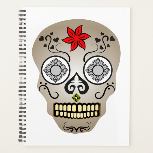 Retro Skull Planer (Vorderseite)