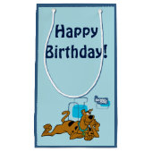 Retro Squares Scooby-Doo ablegen Kleine Geschenktüte (Vorderseite)