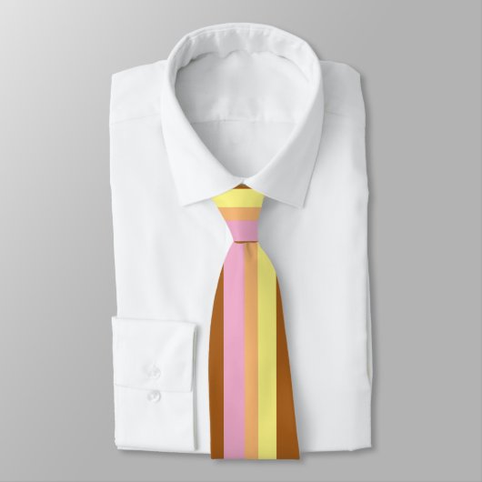 Retro Stripes Neck Tie (Orange Multi) Krawatte (Gebunden)