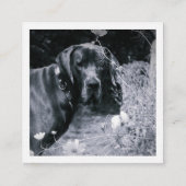 Retro Style Black Red Beruflich Quadratische Visitenkarte (Rückseite)