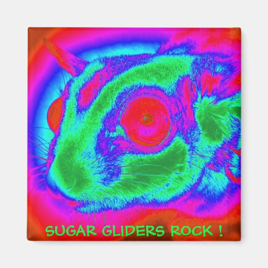 Retro Sugar Glider Magnet (Vorne)