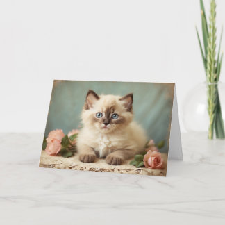 Retro Süßes Ragdoll-Kätzchen-Portrait Blumen Süß Karte