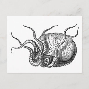 Retro Tintenfisch Postkarte