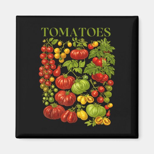 Retro-Tomaten-Grafik nostalgisches Sommergemüse Magnet (Vorne)