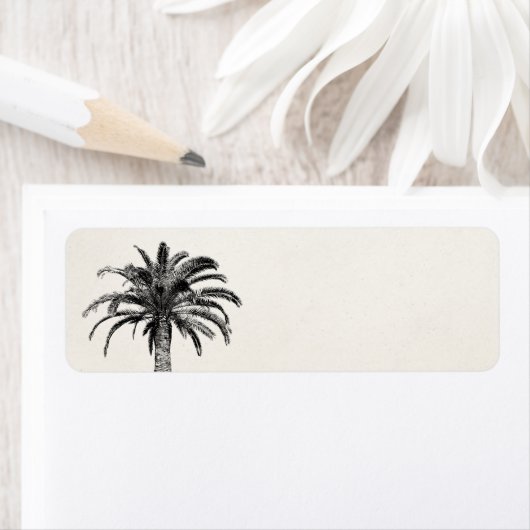 Retro Tropical Island Palm Tree in Schwarz-Weiß (Insitu)