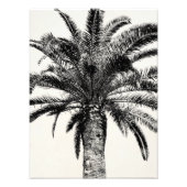 Retro Tropical Island Palm Tree in Schwarz-Weiß Fotodruck (Vorne)