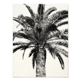 Retro Tropical Island Palm Tree in Schwarz-Weiß Fotodruck