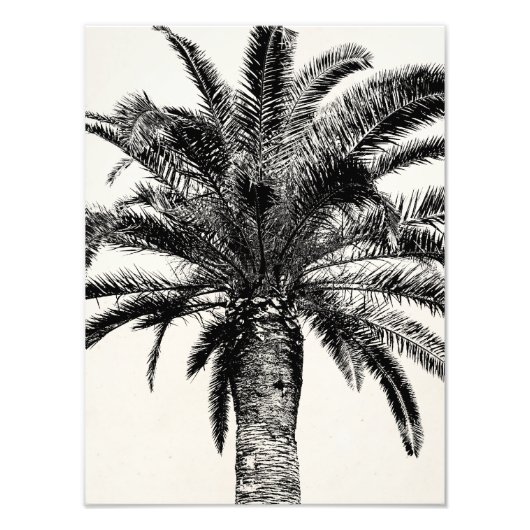 Retro Tropical Island Palm Tree in Schwarz-Weiß Fotodruck (Vorne)