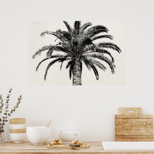Retro Tropical Island Palm Tree in Schwarz-Weiß Poster (Küche)