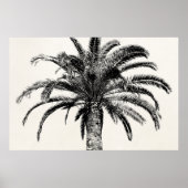 Retro Tropical Island Palm Tree in Schwarz-Weiß Poster (Vorne)