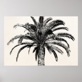 Retro Tropical Island Palm Tree in Schwarz-Weiß Poster
