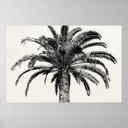 Retro Tropical Island Palm Tree in Schwarz-Weiß Poster (Vorne)