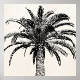 Retro Tropical Island Palm Tree in Schwarz-Weiß Poster