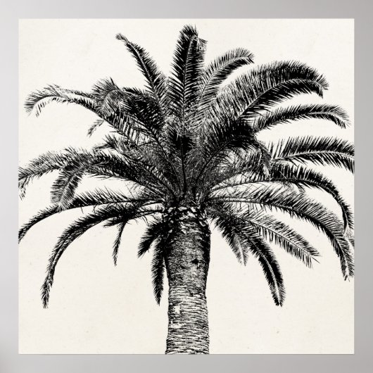 Retro Tropical Island Palm Tree in Schwarz-Weiß Poster (Vorne)
