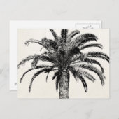 Retro Tropical Island Palm Tree in Schwarz-Weiß Postkarte (Vorne/Hinten)