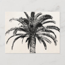 Retro Tropical Island Palm Tree in Schwarz-Weiß Postkarte