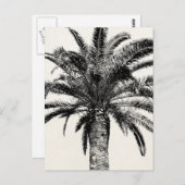 Retro Tropical Island Palm Tree in Schwarz-Weiß Postkarte (Vorne/Hinten)