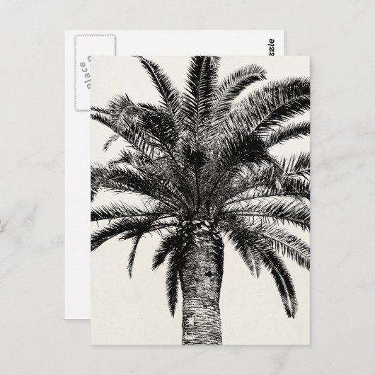 Retro Tropical Island Palm Tree in Schwarz-Weiß Postkarte (Vorne/Hinten)