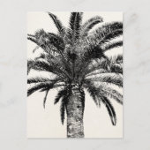 Retro Tropical Island Palm Tree in Schwarz-Weiß Postkarte (Vorderseite)