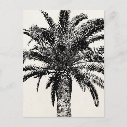 Retro Tropical Island Palm Tree in Schwarz-Weiß Postkarte (Vorderseite)