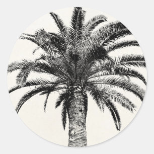 Retro Tropical Island Palm Tree in Schwarz-Weiß Runder Aufkleber