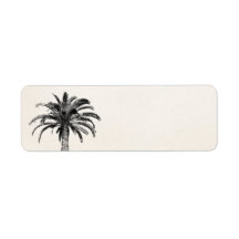 Retro Tropische Insel Palme in Schwarz-Weiß