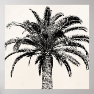 Retro-Tropische Insel Palme in Schwarz-Weiß Poster