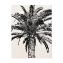 Retro Tropische Insel Palme in Schwarz-Weiß