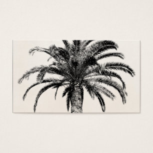 Retro tropische Insel-Palme in Schwarzweiss