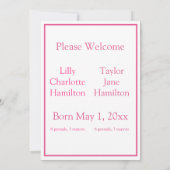 Retro Twins Baby Announction Pink Einladung (Rückseite)