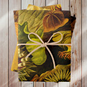 Retro Undersea Life Anemones & Coral 3 Styles Geschenkpapier Set