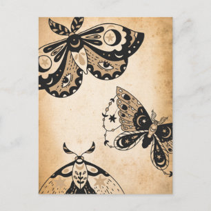 Retro verblasste schwarze Motten braunes vintage P Postkarte