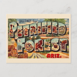 Retro Versteinerter Wald Arizona Postkarte