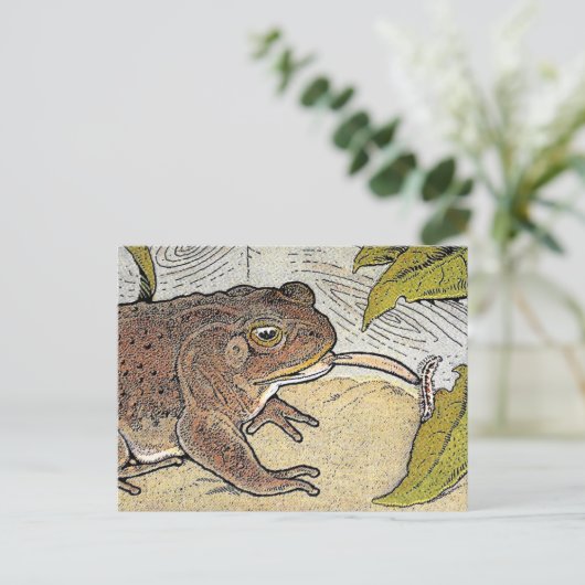 Retro Vintag Frog Book Illustration Postkarte (Stehend Vorderseite)