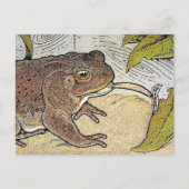 Retro Vintag Frog Book Illustration Postkarte (Vorderseite)