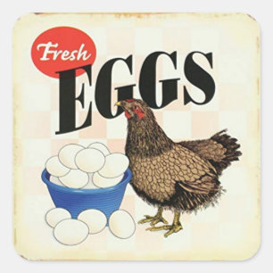Retro Vintage Frische Eier Huhn Quadratischer Aufkleber
