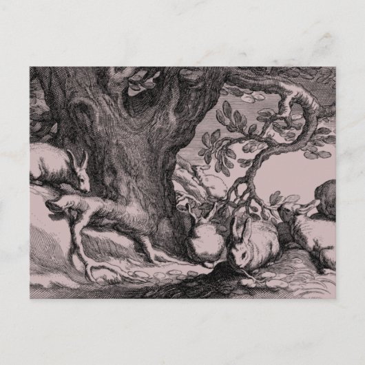 Retro Vintage Hasen Postkarte (Vorderseite)