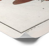 Retro Vintage Niedlich Puffer Fische Zoologische Z Poster (Ecke)